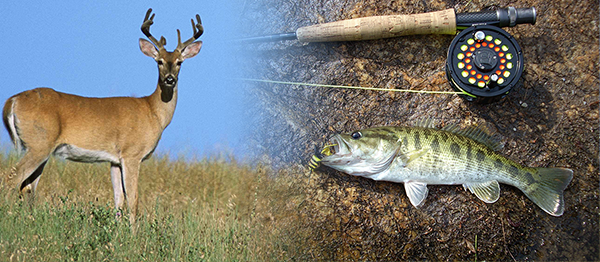 An image of a white tail deer and a fishing rod next to an Altamaha bass as examples of native Georgia wildlife.